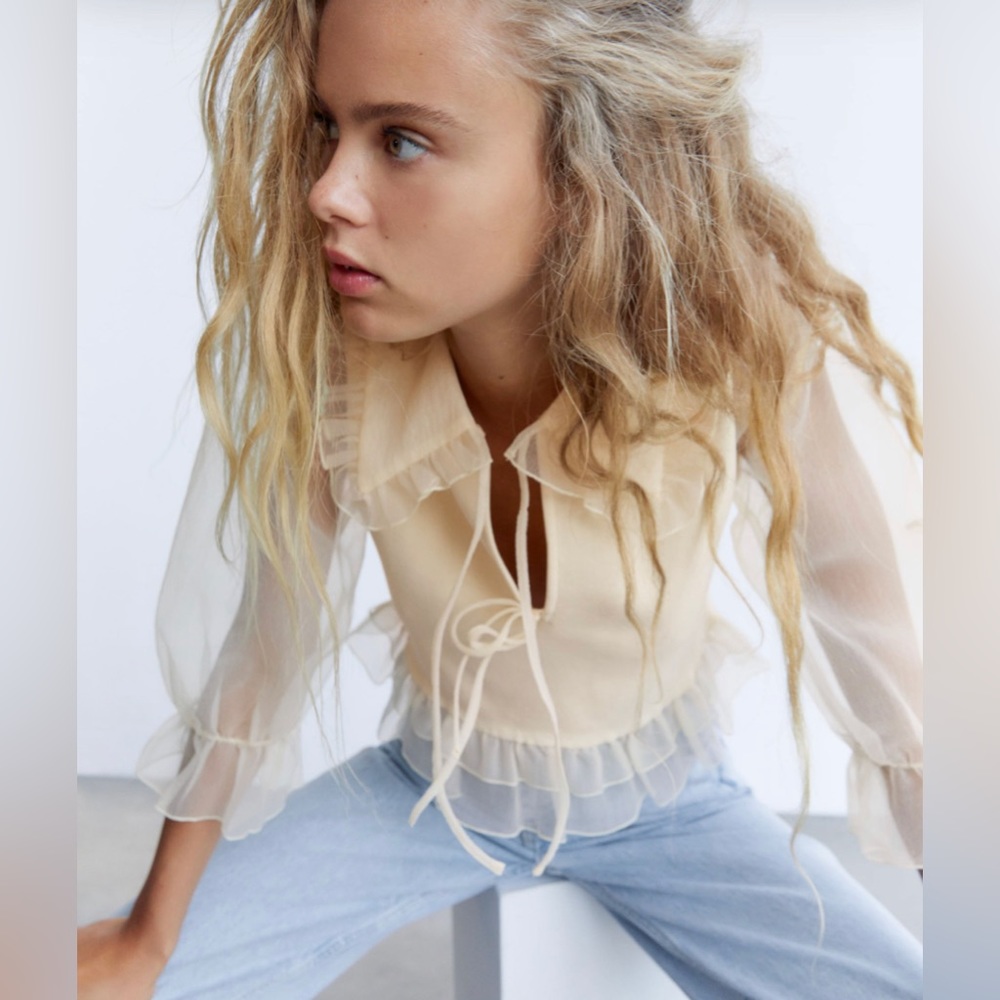 NWT Rare Zara Combination Knit and organza Top - Picture 4 of 13